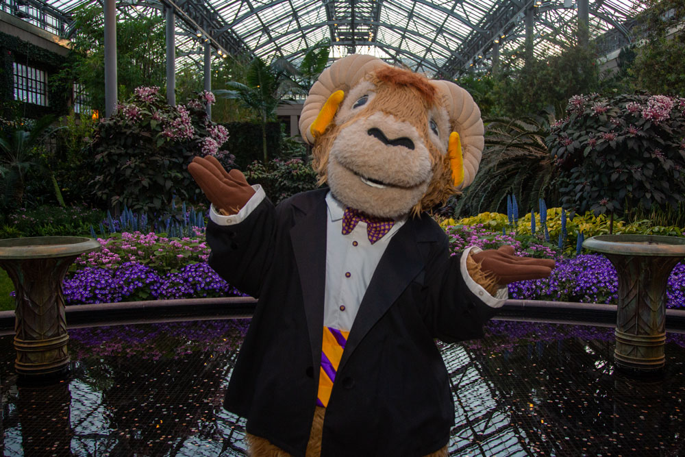 Rammy at Longwood Gardens